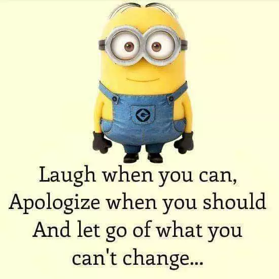 Minion Wisdom Quotes  Laugh