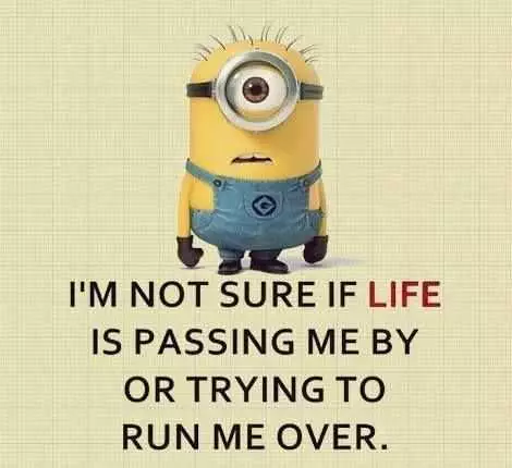 Funny Minion Quotes  Life