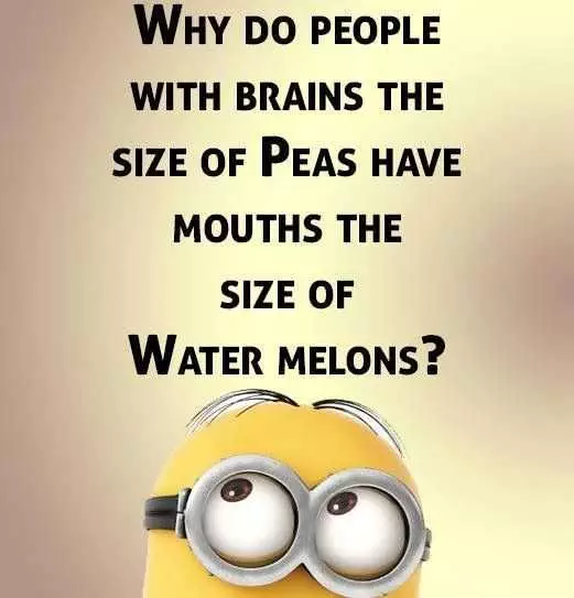 Super Funny Minion Meme  Brain Size