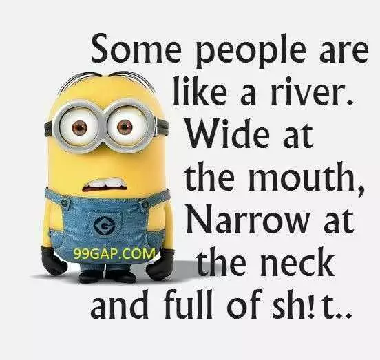 Funny Minion Quote  Rivers