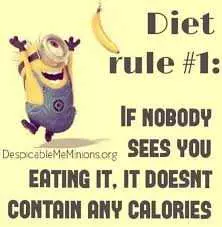 Sarcastic Minion Quotes  Diet