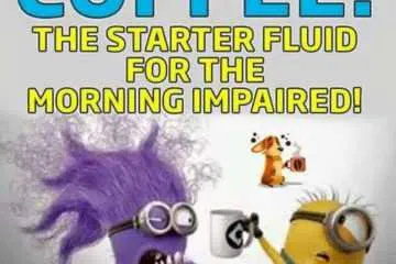 Minion Starter Fluid