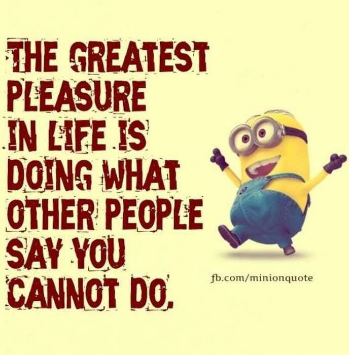 Minion What Other People