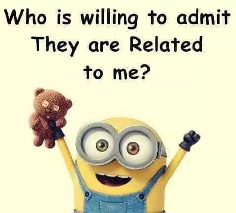 Snappy Minion Memes  Related