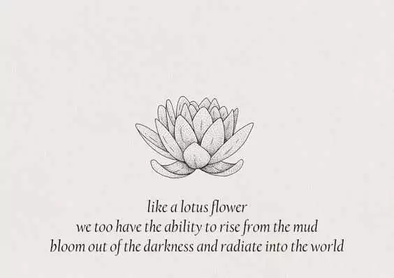 Inspiring And Motivational Quotes  Lotus