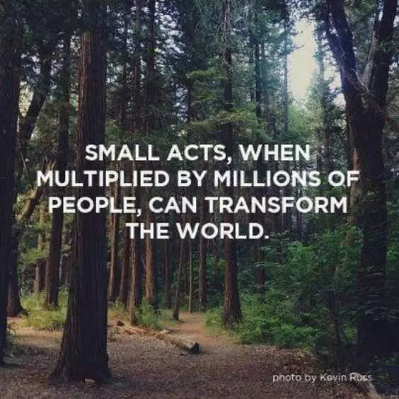 Wonderful Quotes  Small Acts
