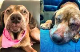 Screen Shot 2018 05 05 At 12.17.49 Am