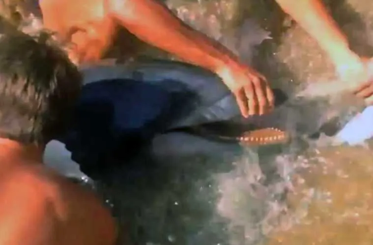 Screen Shot 2018 05 06 At 1.04.06 Pm