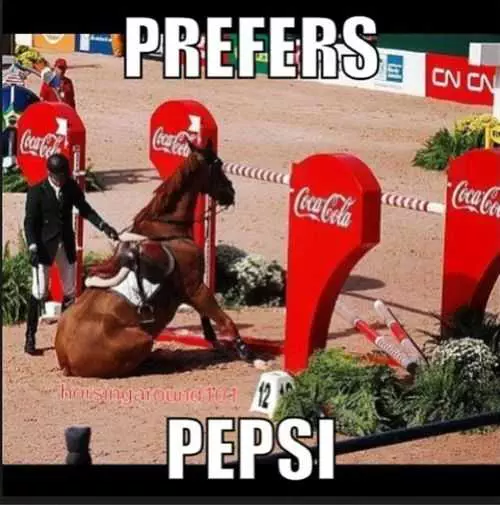 Sweet Funny Animal Pictures  Pepsi Challenge