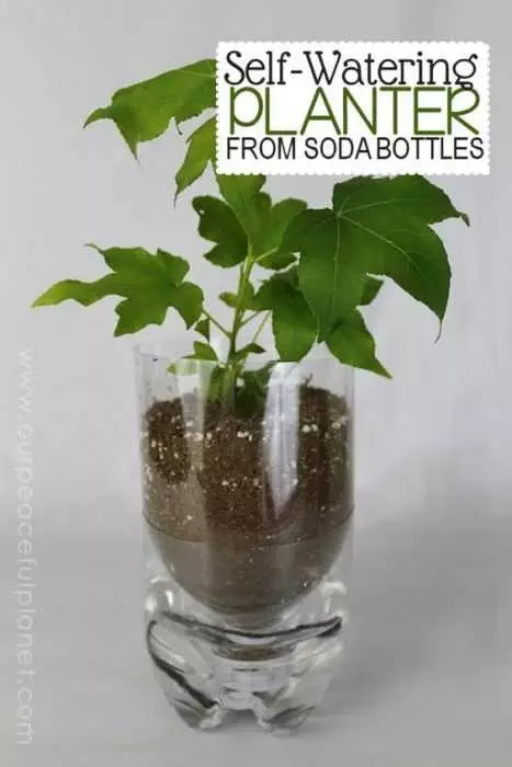 Upcycling Projects  Self Watering Planter