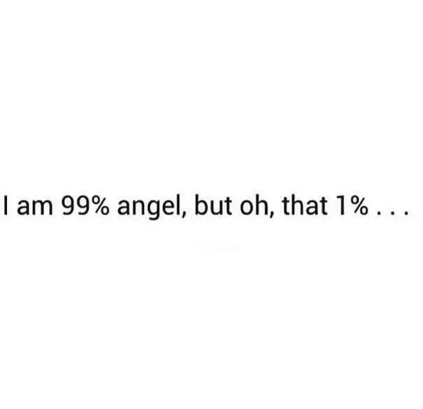Snarky Funny Quotes  99% Angel