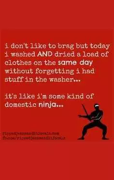 Funny Domestic Ninja