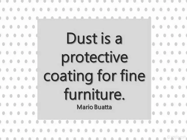 Snarky Funny Quotes  Protective Coating