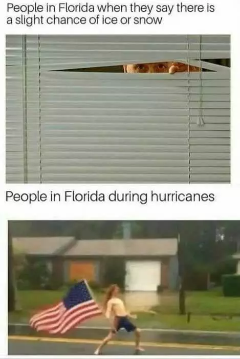 Hilarious And Funny Memes  Staying Alive In Florida