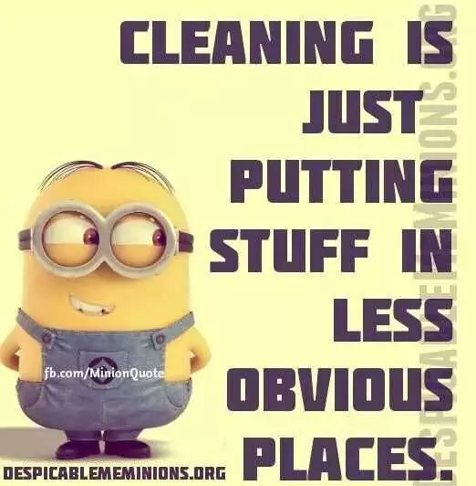 Snarky Funny Quotes  Cleaning