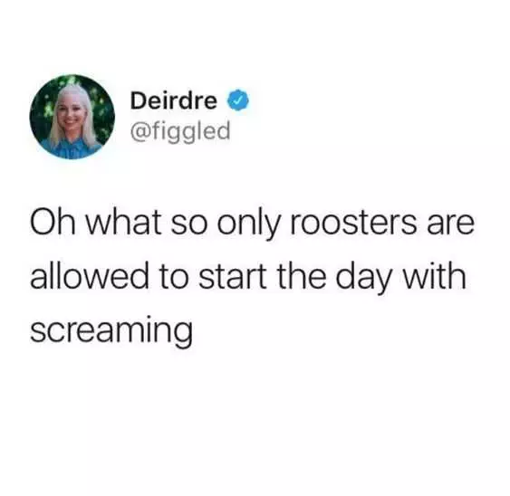 Funny Only Rooster