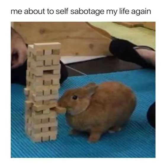 Funny Self Sabotage