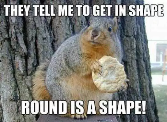 Funny Shape Squirrel