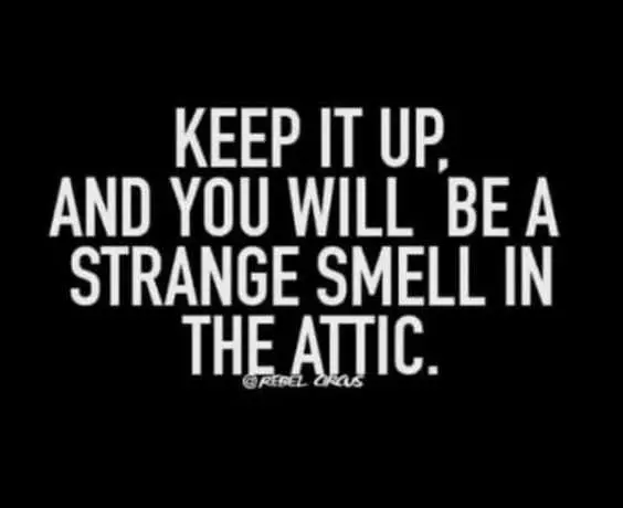 Funny Strange Smell Attic