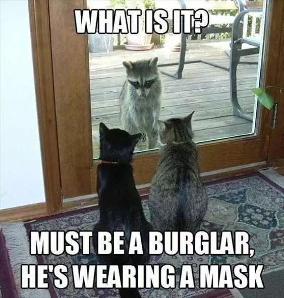 Funny Wearing Mask