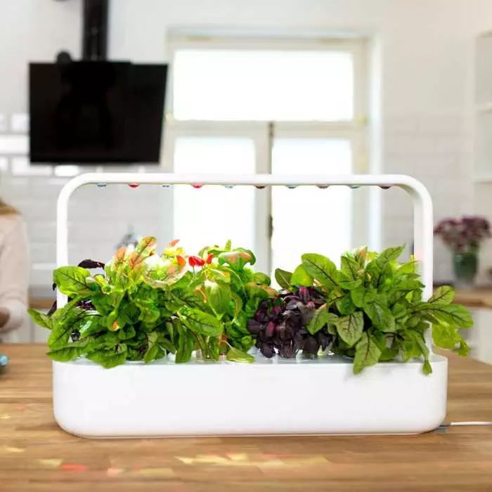 Smart Planter For Your Own Indoor Herb Garden