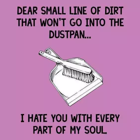 24 Funny Pictures About Spring Cleaning  Dear Small Line Of Dirt