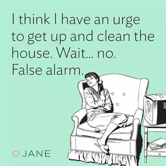 24 Funny Pictures About Spring Cleaning  False Alarm