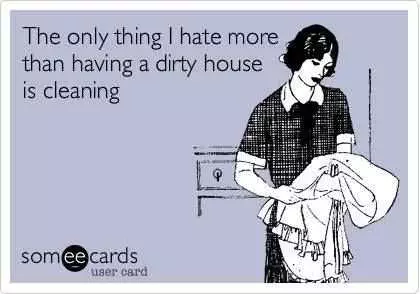 24 Funny Pictures About Spring Cleaning  Dirty House
