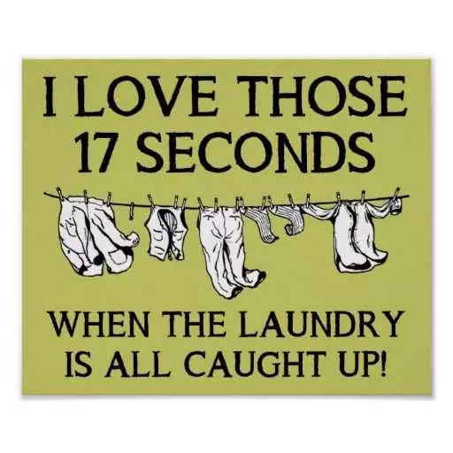 24 Funny Pictures About Spring Cleaning  Laundry All Caught Up