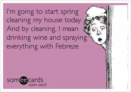 24 Funny Pictures About Spring Cleaning  Febreze It