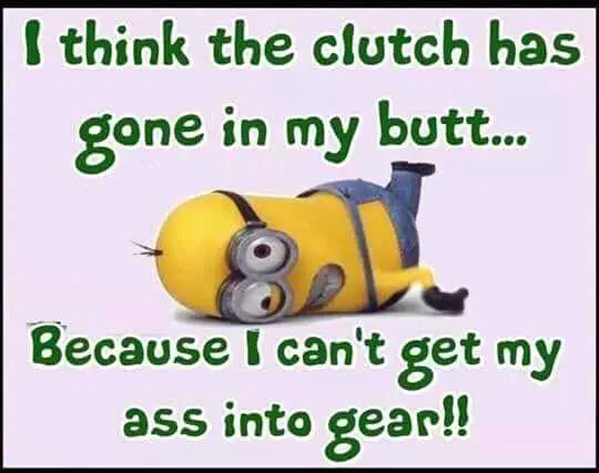 Funny Minion Pictures With Sayings  Clutch In Butt