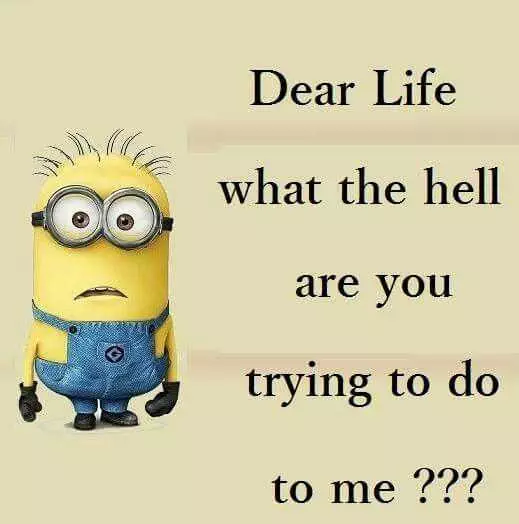 Funny Minion Pictures With Sayings  Life
