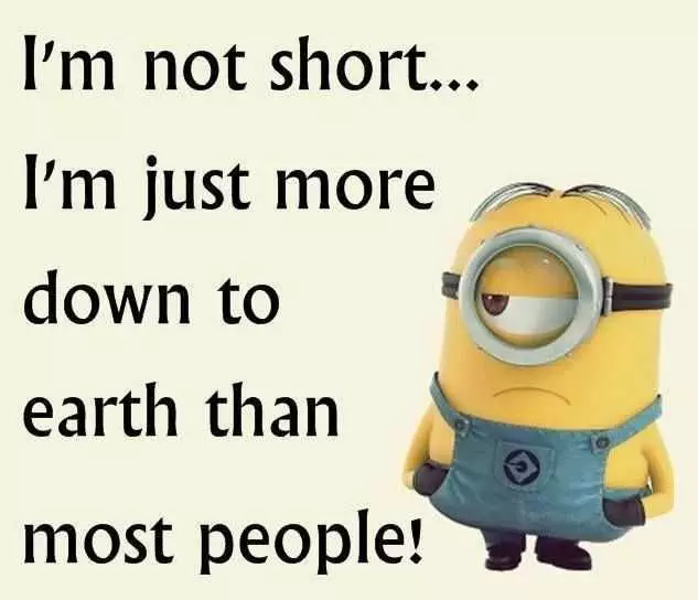 Funny Minion Images With Captions  Short
