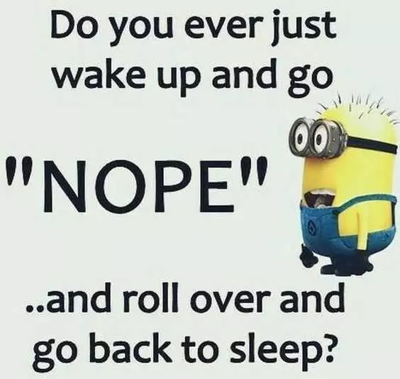 Funny Minion Pictures With Sayings  Nope