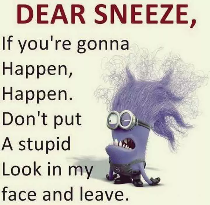 Minion Sneeze