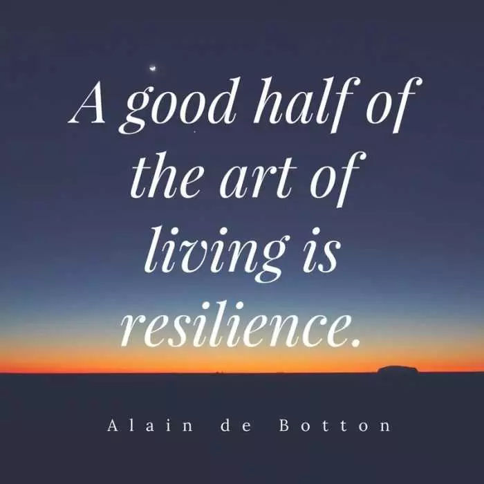 Inspirational Quotes About Yourself  Resilience