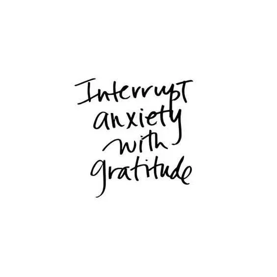 Quote Interrupt Gratitude