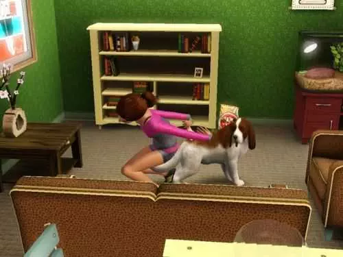 Sims Brush Dog
