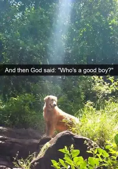 Funny Snapchats  God'S Beam