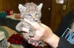 Screen Shot 2018 06 22 At 2.06.40 Am