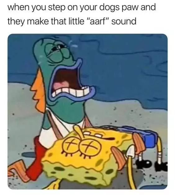Funny Arf Sound
