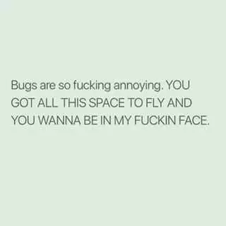 Funny Bugs Space