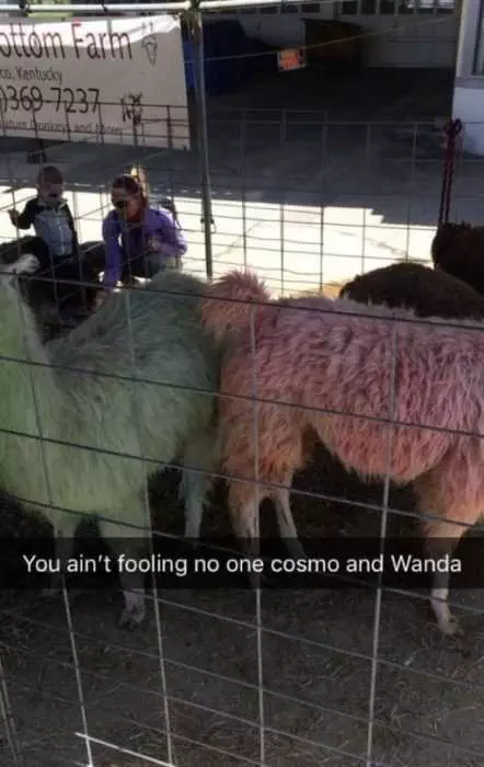 Funny Cosmo Wanda