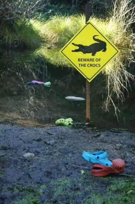 Funny Crocs Beware