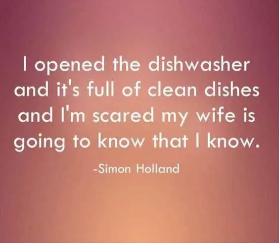 Funny Dishwasher Wife