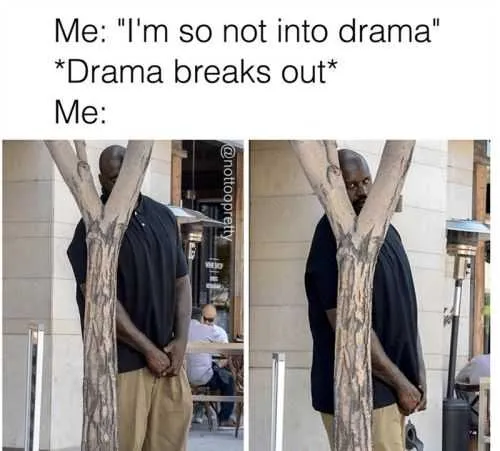 Funny Drama Breaks Out