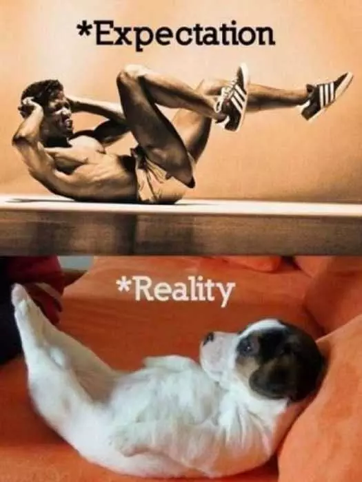 Funny Fitness Reality
