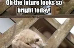 Funny Future Bright