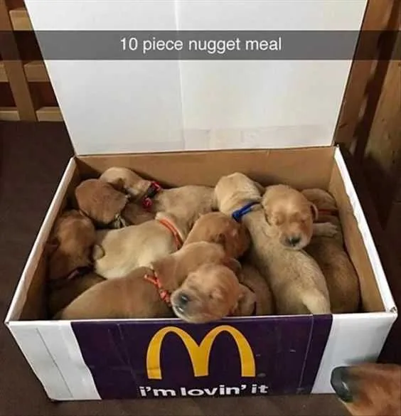 Funny Nugget Meal
