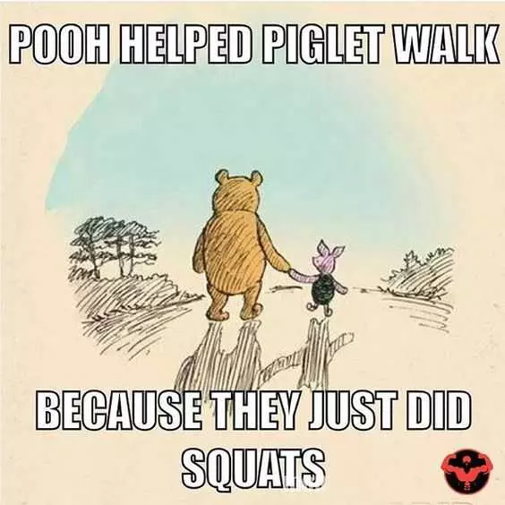 Funny Piglet Helped